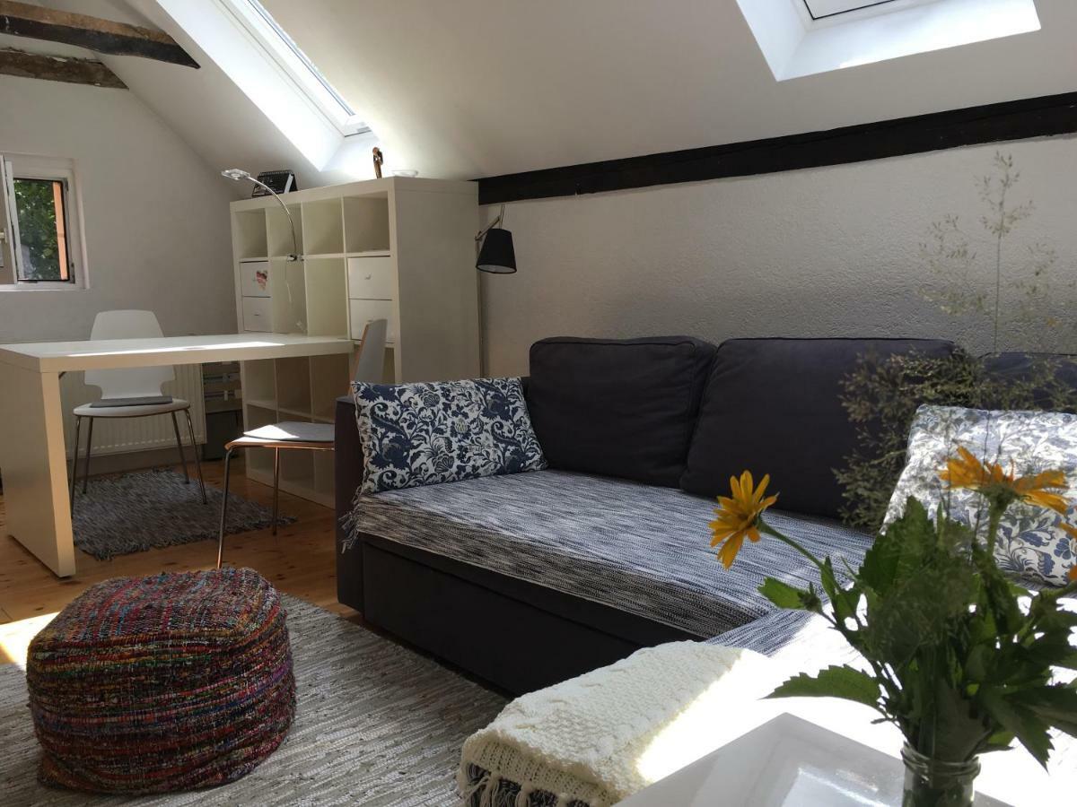 Cevennenremise — Fotos 3